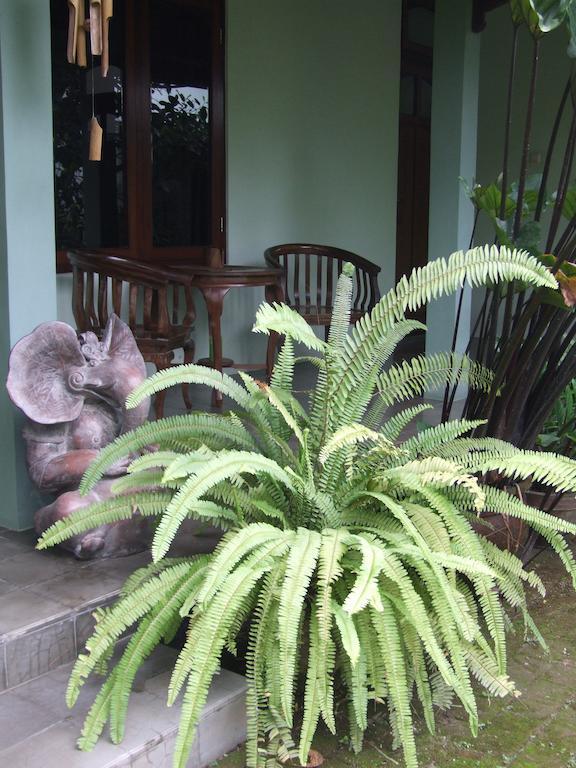 Rumah Sawah Ngabean Exterior photo